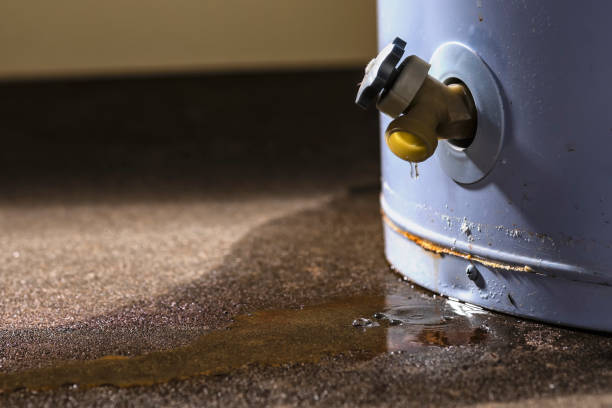  North Pekin, IL Water damage restoration Pros