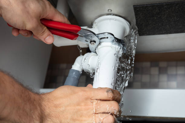 Best Professional water damage repair  in North Pekin, IL