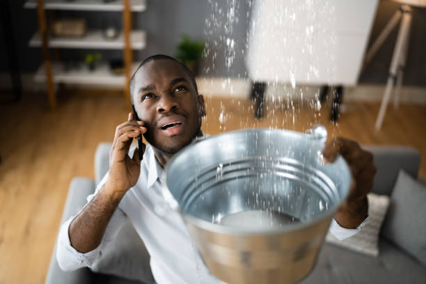 Best Sewage cleanup and water damage restoration  in North Pekin, IL