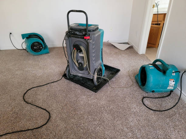 Best Carpet water damage restoration  in North Pekin, IL