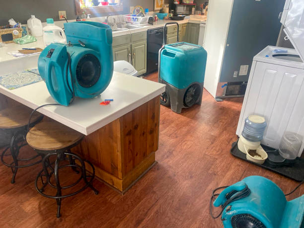 Best Sewage cleanup and water damage restoration  in North Pekin, IL