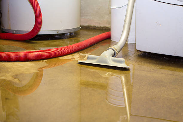 Best 24-hour water damage restoration  in North Pekin, IL