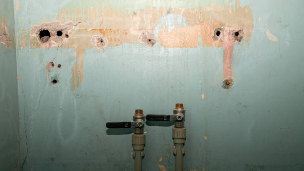 Best Water damage repair service  in North Pekin, IL