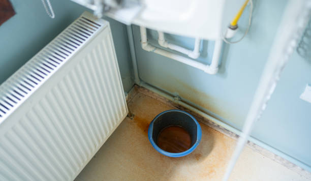 Best Flood restoration services  in North Pekin, IL