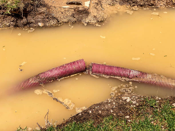 Best Water damage cleanup near me  in North Pekin, IL