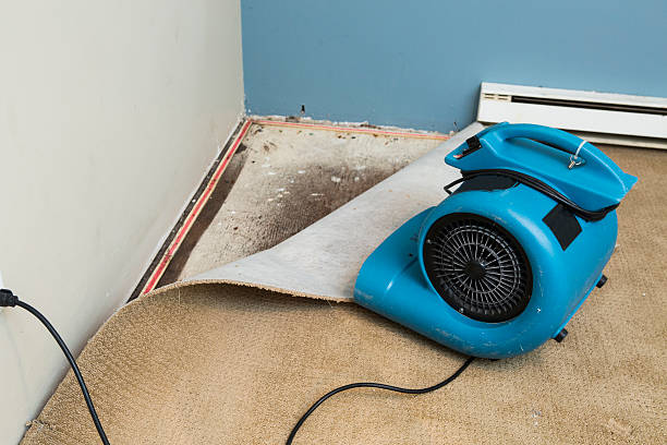 Best Water damage restoration near me  in North Pekin, IL
